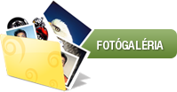 Fotógaléria