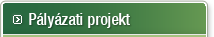 Pályázati projekt
