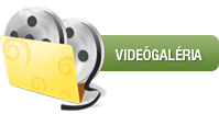 Videógaléria