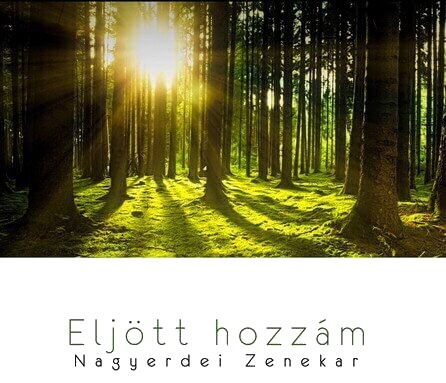 Nagyerdei zenekar
