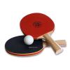 Ping-Pong bajnokság